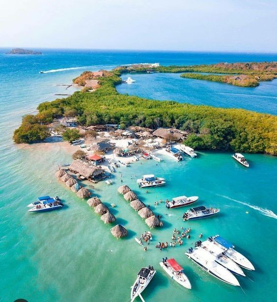 Cholon Island Party: The Island of the Famous