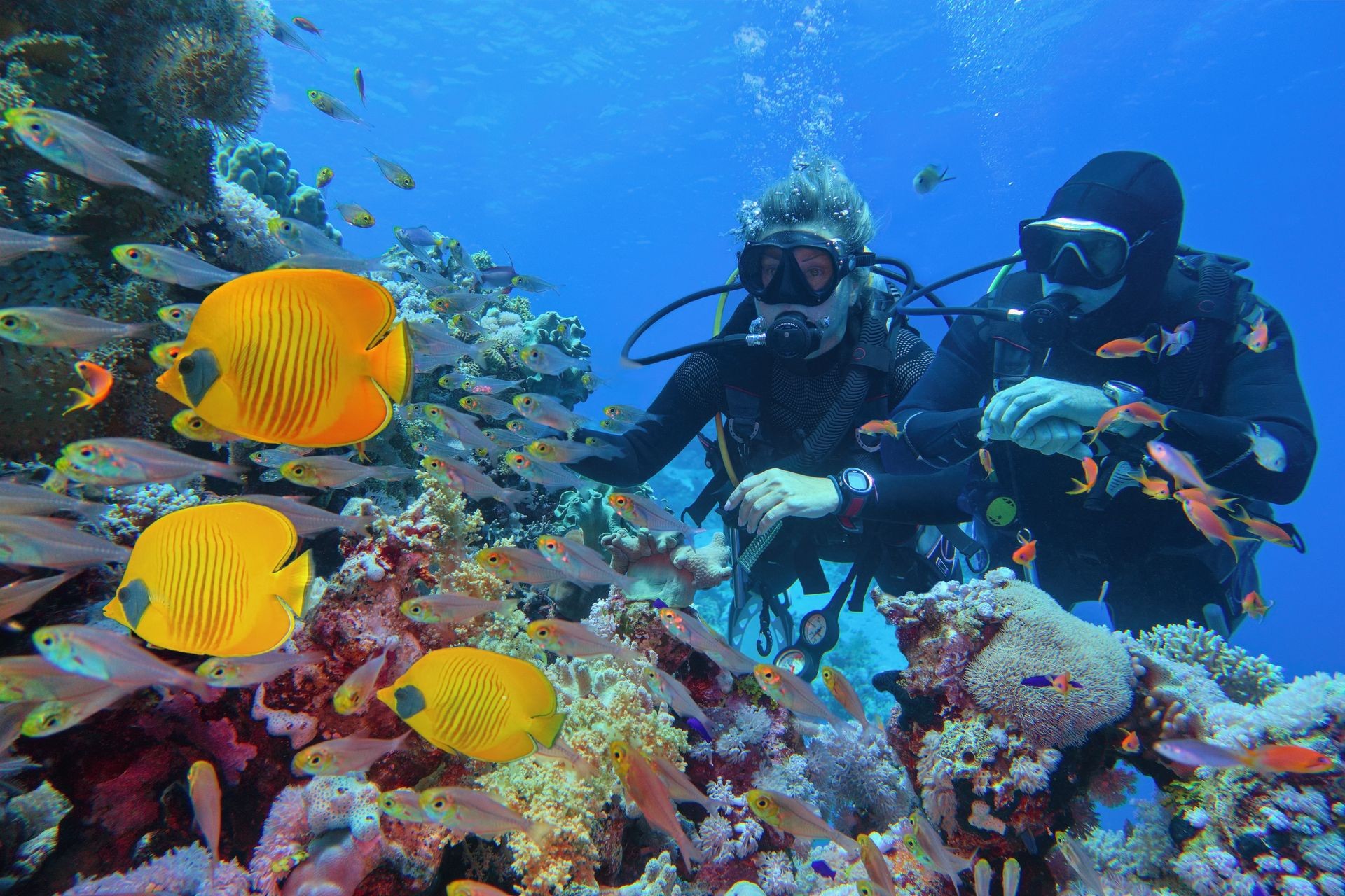  Scuba Diving and Boat Rental in the Rosario Islands: An Unforgettable Adventure